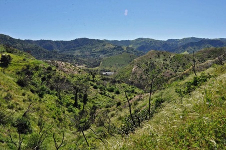 Enlarge photo 65
