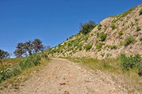 Enlarge photo 66