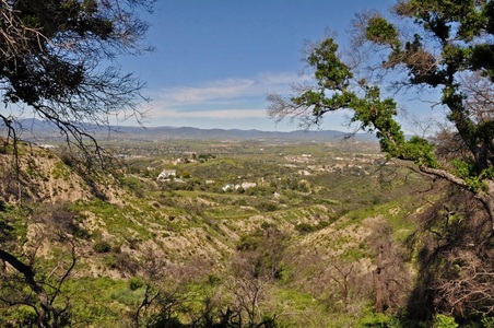 Enlarge photo 67