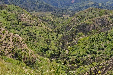 Enlarge photo 71