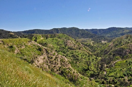 Enlarge photo 72