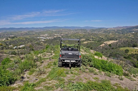 Enlarge photo 75