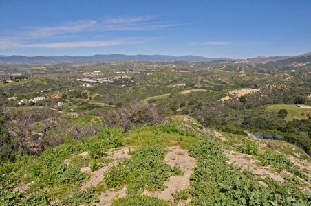 Enlarge photo 80