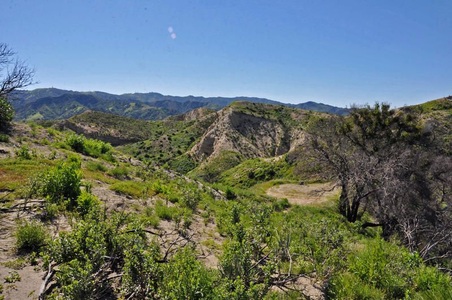 Enlarge photo 81
