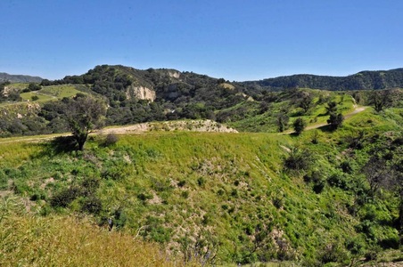 Enlarge photo 83