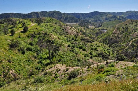 Enlarge photo 84