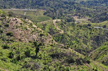 Enlarge photo 85