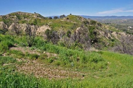 Enlarge photo 90