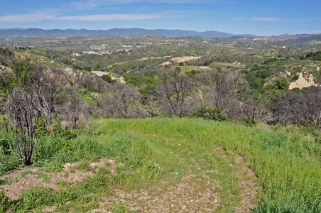 Enlarge photo 91