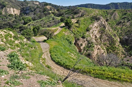 Enlarge photo 92