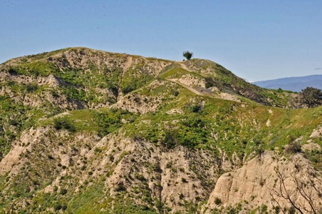 Enlarge photo 95