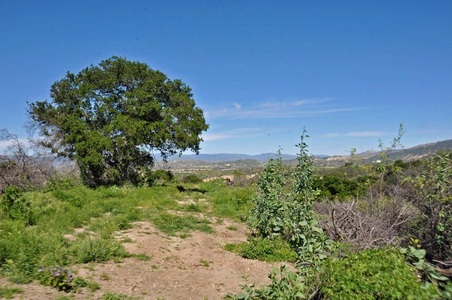 Enlarge photo 104