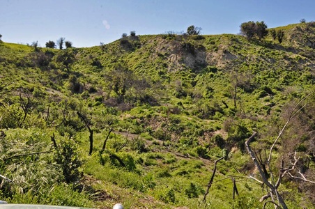 Enlarge photo 105