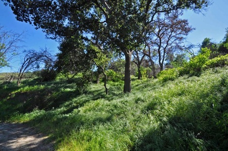 Enlarge photo 111