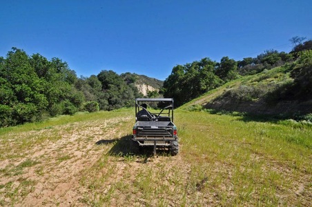 Enlarge photo 115