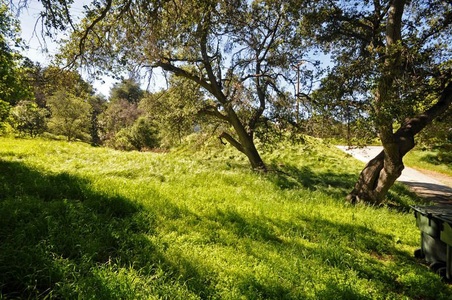 Enlarge photo 120