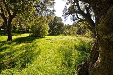 Enlarge photo 121