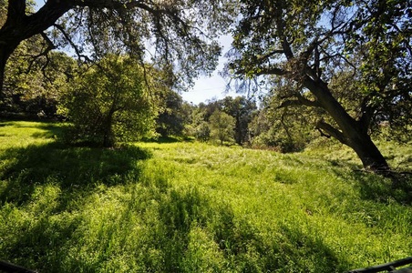 Enlarge photo 125