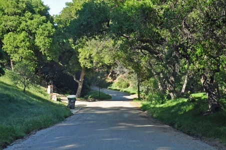 Enlarge photo 129