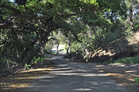 Enlarge photo 130