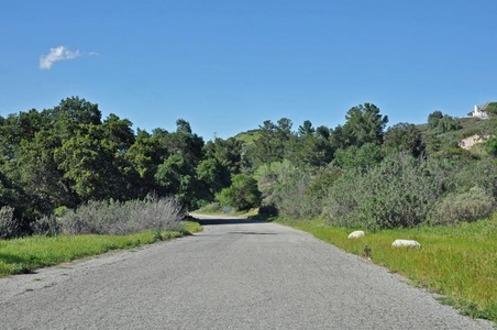 Enlarge photo 131