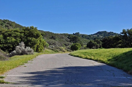 Enlarge photo 133