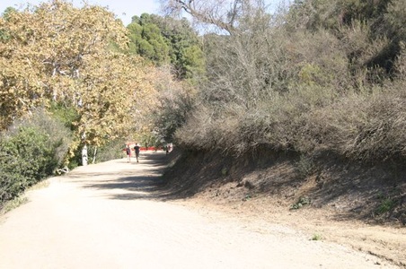 Enlarge photo 20