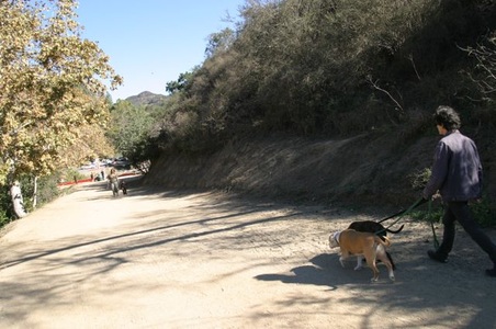 Enlarge photo 21