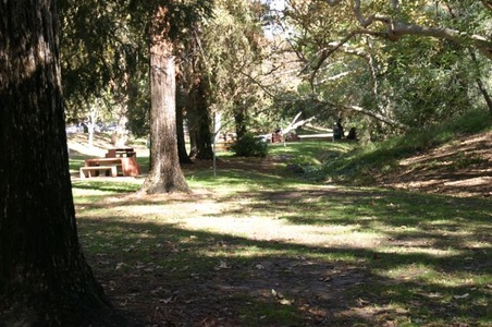 Enlarge photo 26