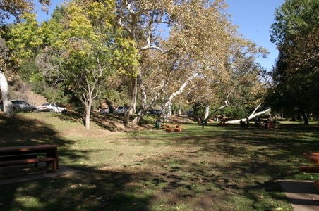 Enlarge photo 30