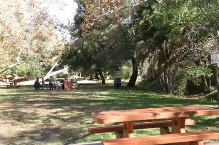 Enlarge photo 31