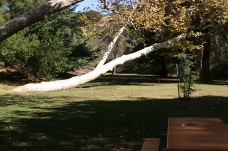 Enlarge photo 33