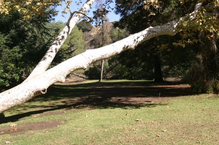 Enlarge photo 34