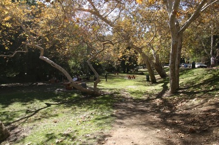 Enlarge photo 36