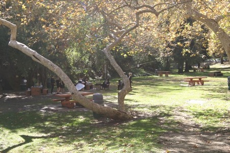Enlarge photo 37