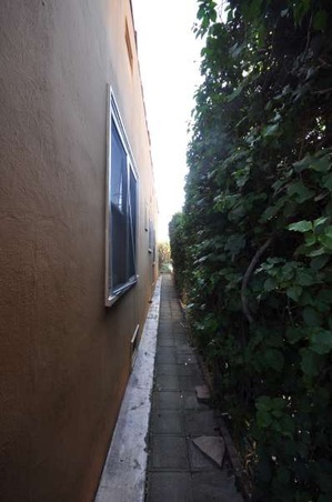 Enlarge photo 53