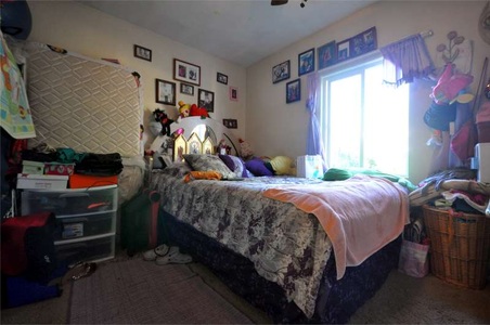 Enlarge photo 59