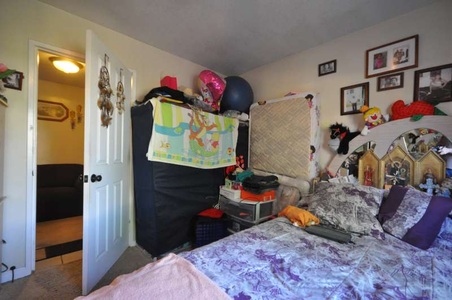 Enlarge photo 61