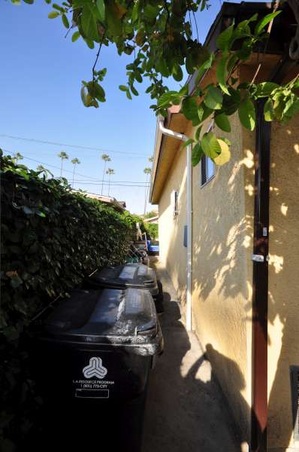 Enlarge photo 67