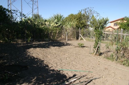 Good Earth Community Garden