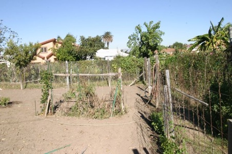 Enlarge photo 3