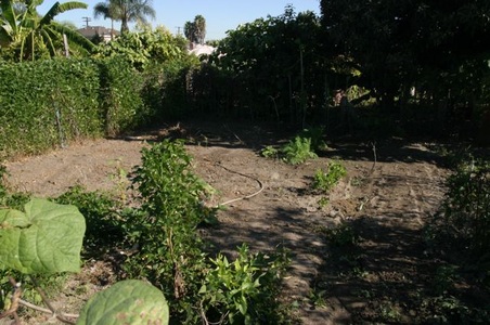 Enlarge photo 4