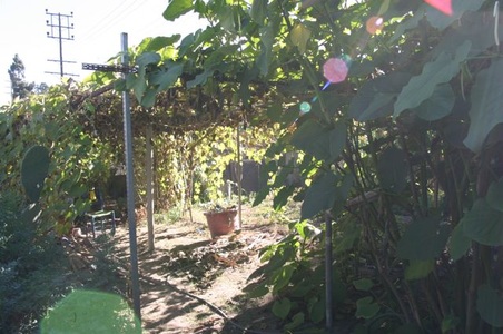 Enlarge photo 7