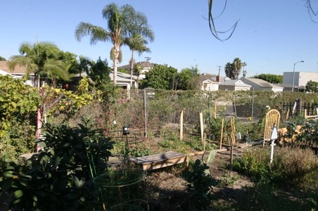 Enlarge photo 8