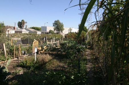 Enlarge photo 9