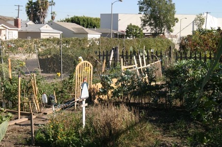 Enlarge photo 10