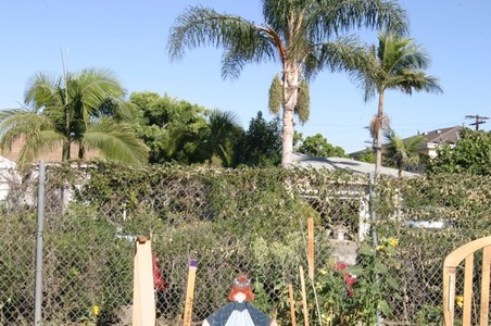 Enlarge photo 11