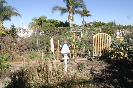 Enlarge photo 12