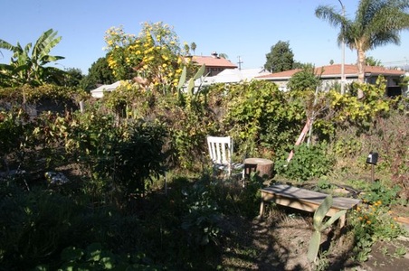 Enlarge photo 13