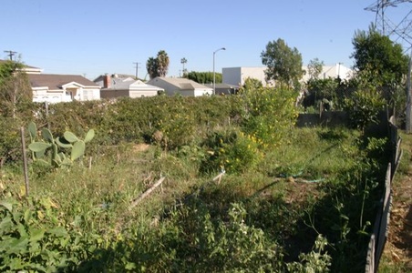 Enlarge photo 15